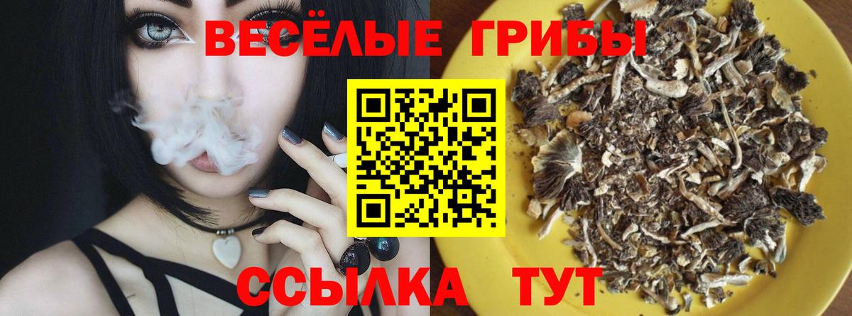 Галлюциногенные грибы Magic Shrooms Барабинск